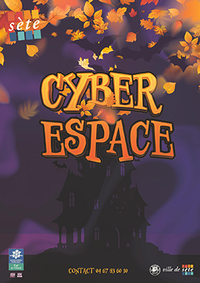 Le Cyber Espace